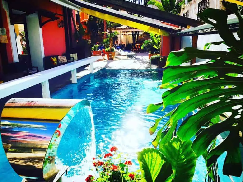 Hotel Zi Carmela Ischia - Gallery 3