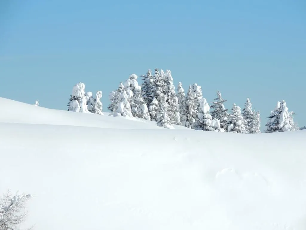 Hotel Eden Tonale - Gallery 1