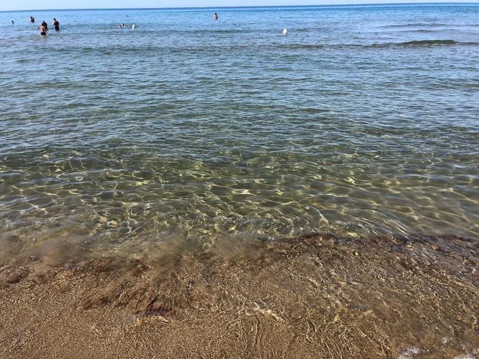 Medea Beach Resort - Gallery 4